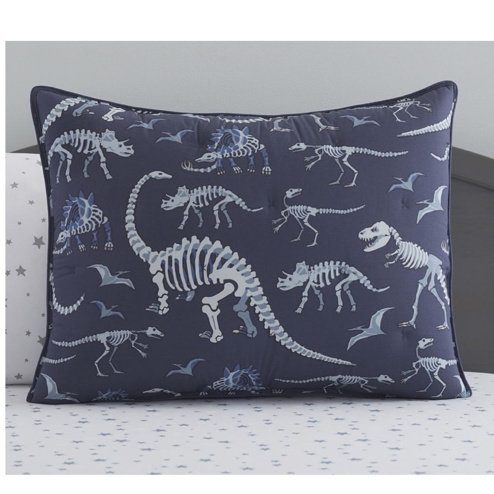 Pottery barn Dino glow in dark pillowcases